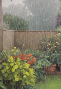 Regenwasser sammeln